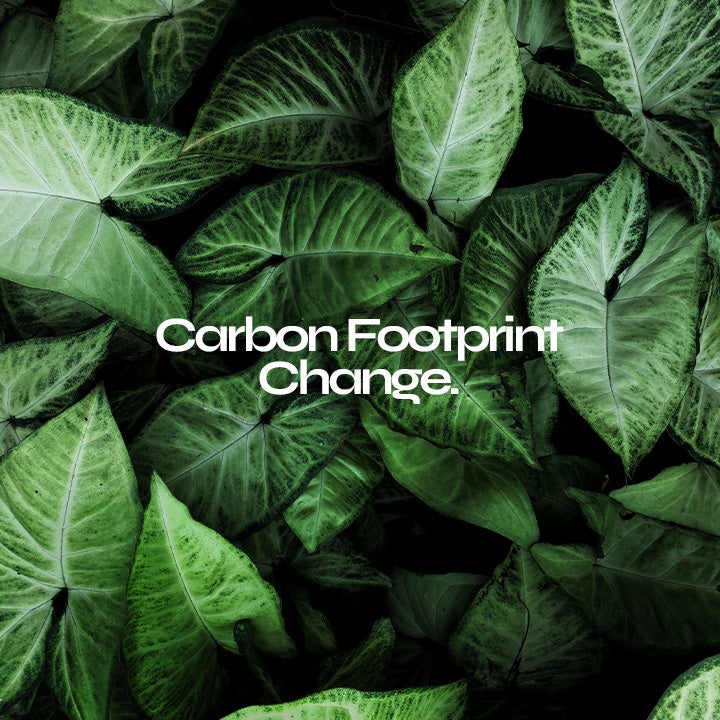 Carbon Footprint Change
